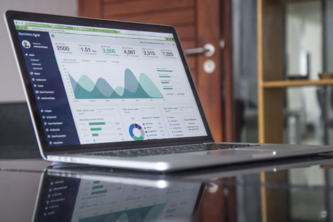Web Portal Development